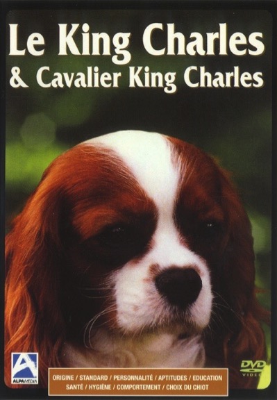 Le King Charles & Cavalier King Charles