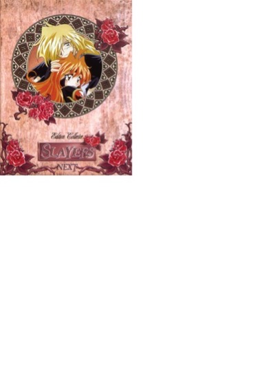 Slayers Next