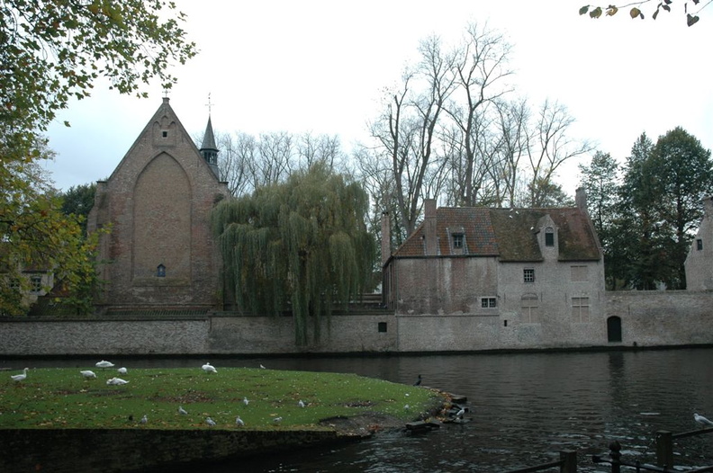 Bruges, un coin tranquile pour les animaux