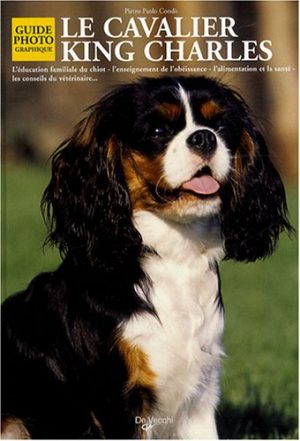 Le Cavalier King Charles