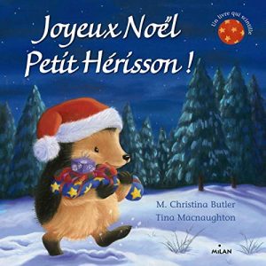 Joyeux Noël, Petit Hérisson ! (tout-carton)