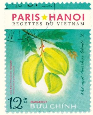Paris Hanoï, recettes du Vietnam
