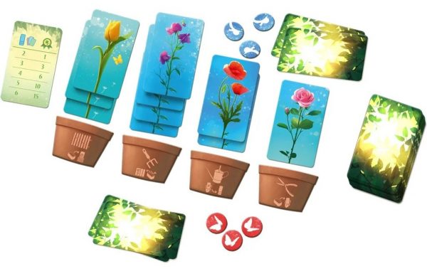 Blossom – Image 2