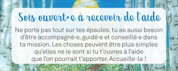 Le petit Oracle de la mission de vie – Image 2