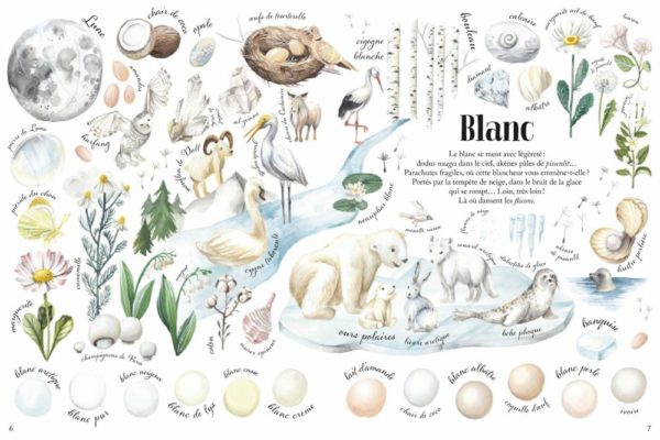 Toutes les couleurs de la nature – Image 3