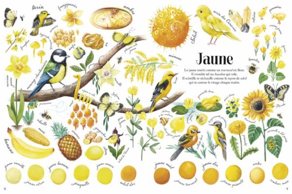 Toutes les couleurs de la nature – Image 4