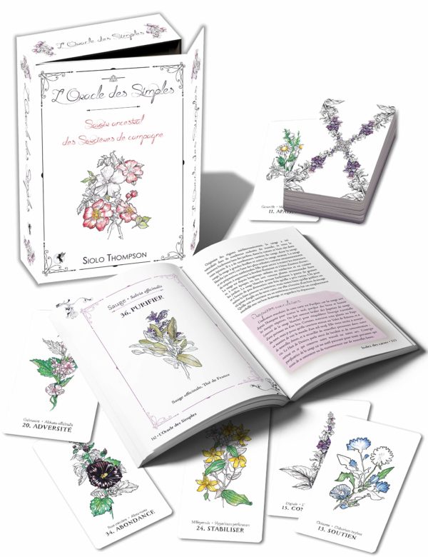 L'Oracle des Simples : Savoir Ancestral des Sorcières de campagne – Image 3